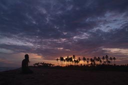 Sunset Grand-Popo, Benin, palms and beach.