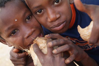 Boys eating Coconut, faces of African boys, thumbs up, Guinea Bissau.