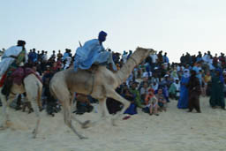 Tuareg Chasing tourists ...