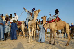 Tuareg getting ready to ride.