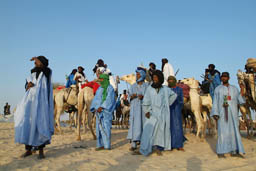 Tuareg gathering on dromedaries.