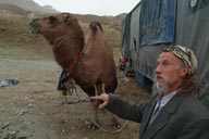 Goran, Camel, Dogubeyazit.