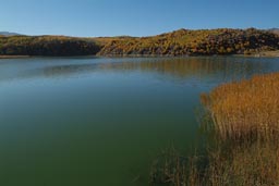 Green Lake Nemrut, reed.