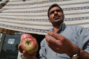 Turkish generosity, man donating apples.
