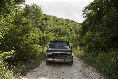 On jungle roads along the Guatemalean border to El Pilar, Maya site in Belize..