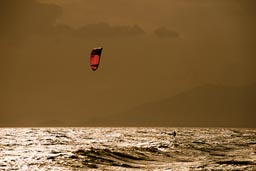 Lonley on glisten ocean. Kite surfing, Punta Chame.
