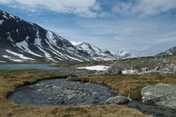 Glacial stream, summer, Norway.