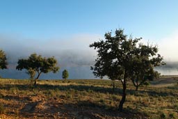 Reserva National de Cijara lake and morning mist