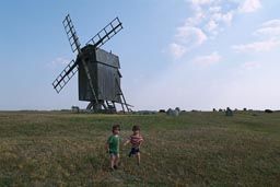 Boys and the windmill.