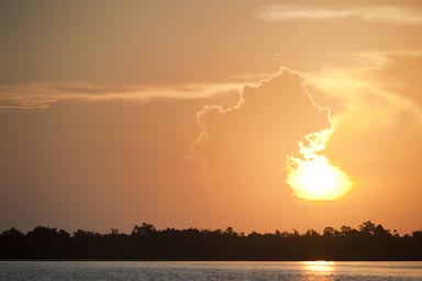 Golden sunrise over the mangroves of Rio Lagartos, lagoon. Yucatan, Mexico.