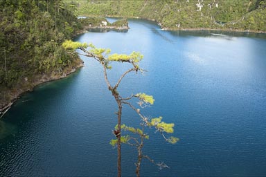 Blue lake, Cinco Lagos, Chiapas.