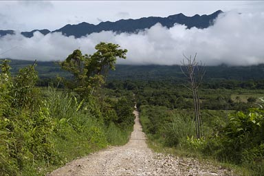The Lacandon jungle around, clouds hang low. The Montes Azules Biosphere Reserve.