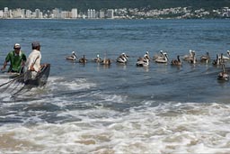 Fishing with nets in Acapulco.