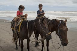 Boys, horses, Pacific Beach, first riding lesson.