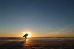 Surfer California sunset.