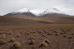 Altiplano and volcanos.