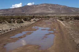 Water on Bolivian desert altiplano road.