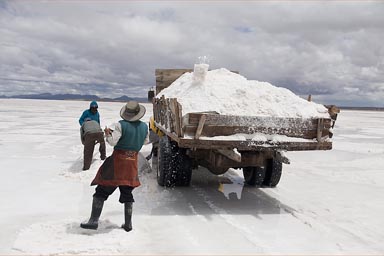 Mining welt salt, sells for 4 B$ as ooposed to dry salt 15 B$, for 50 kg.
