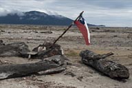 The Chaiten lahar spilt into the sea, Chilean flag, for hope.