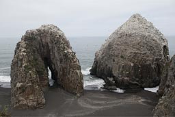Rocks on beach, birds colonies, Constitucion, Chile.