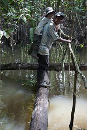 Daniel on Ribert's back. A stream is crossed on a trunk of a fallen tree, Peruvian jungle, 
