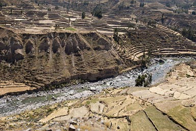 First view of Colca Valley, Inca terraces still kept the same old way. Peru.