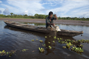 On a side arm of the Huallaga river, a Kokama Kokamilla man fishes with his net, also piranhas, Peruvian jungle Loreto.