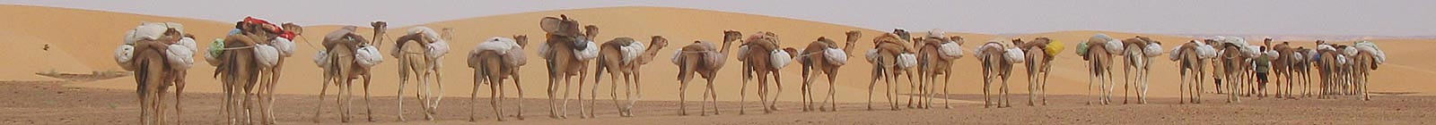 Caravan in Mauritania, a way to organise load.