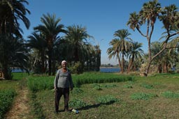 Nile valley farmer.