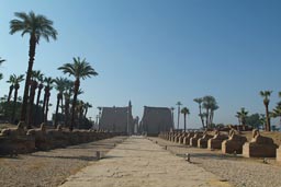 Luxor Temple Sphinx avenue.