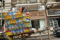 Donkey cart transport, Cairo, street.
