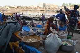 Market women Mopti, canal and Pirogues, port, Mali.