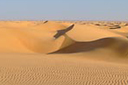 desert untouched