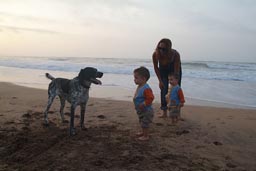 Kelb k'bir, big black and whight dog, Hasna and twins, beach Dar Bouazza, south of Casablanca.