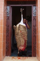 Mutton hung up in doorway. Aid el-Khebir.