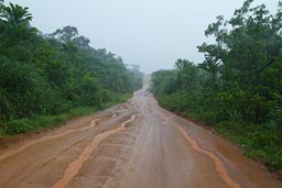 Green Liberian jungle and rain and winding road.