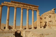Palmyra. Temple.