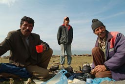 Shepherds on lake Cildir Golu, cows, invite for tea. Turkey.