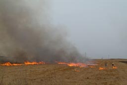 Fields are burning around Diyarbakir.