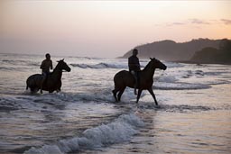 Riders take their horses swimming in the Pacific Ocean, Cambutal, Panama.