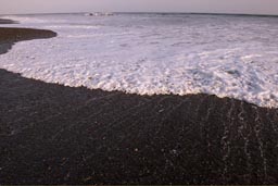 White salt foam, black volcanic pebbles, Guanica Beach.