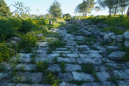 Salamis, Roman, road.