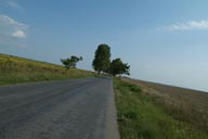 Driving roads in Danube Delta.