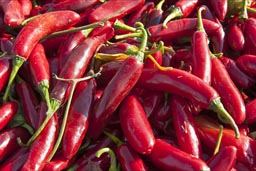 Red Hot Mexican Chili Peppers.