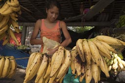 Bananas being sold.