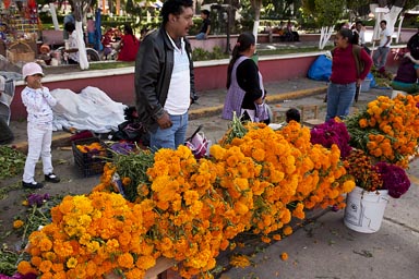 Flowers Market for Dia de los Muertos.