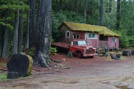 Old truck and house in woods.