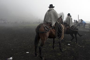 Ponchos on horses in fog, Ecuadorian Andean mountains. Salinas de Guaranda.
