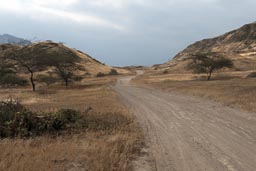 Land inwards past Pampa Grande on gravel roads, Northern Peru.