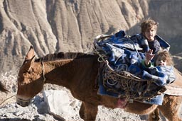Daniel and David on mule, way up Colca Canyon.